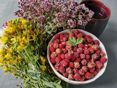 forest medicinal herbs for tea and strawberries.の写真素材