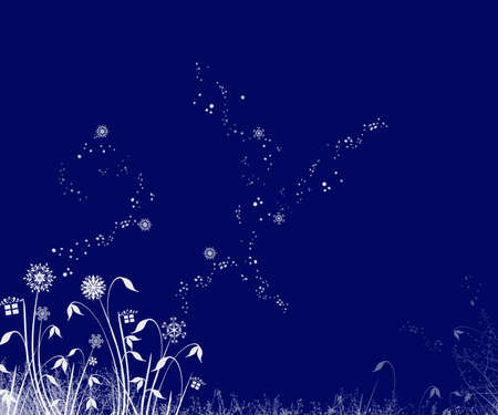 Christmas Flowersの写真素材