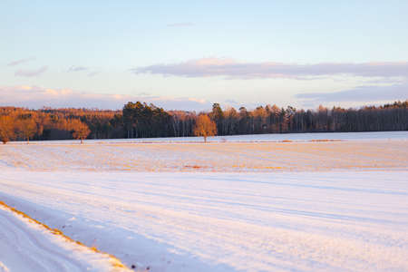 Winter colorful landscape with snowy field at pastel sunsetの写真素材