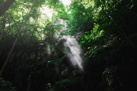 Waterfall in the green forest. Natural background. High quality photo