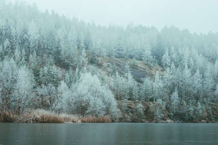 Foggy winter landscape with snow-covered forest and lake.の写真素材