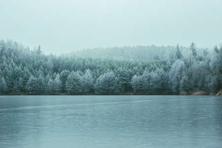 Foggy winter landscape with frozen lake and coniferous forest.の写真素材