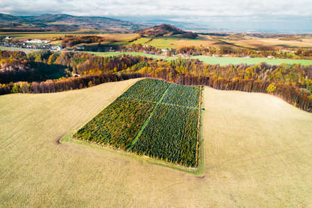 Aerial view of agricultural fields and forests in autumn season. Drone photography.の写真素材