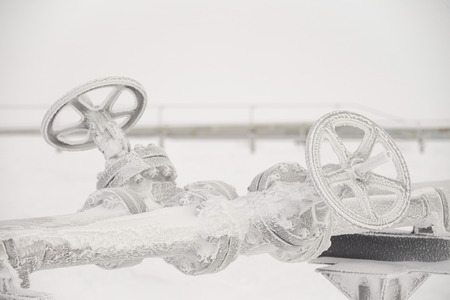 craneの写真素材