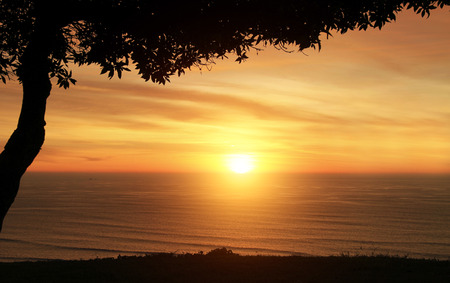 Sunrise in tropical sea with trees on front and clouds on a horizonの写真素材