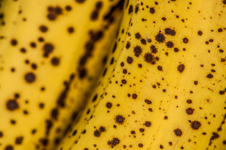 Texture banana peel clouseupの写真素材