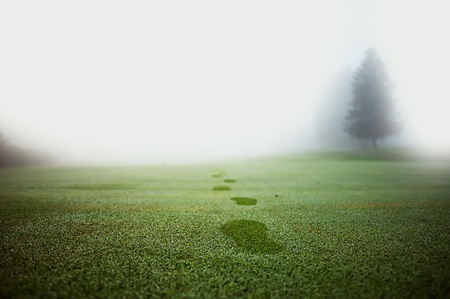 The footprints on the smooth green grassの写真素材