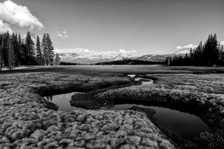 Lake and forest in autumnの写真素材