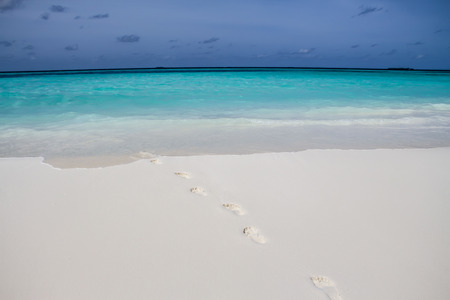 Traces of feet on a paradise beachの写真素材