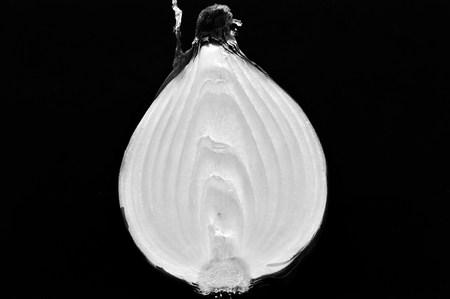 Onion on a black background in black and white styleの写真素材