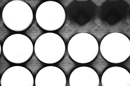 White egg closeupの写真素材