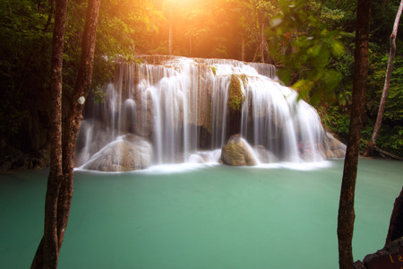 Forest Trees Waterfall in North Thailand