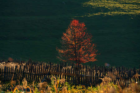 Autumn in Svaneti
