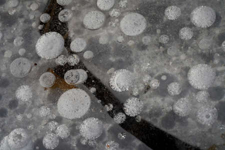 Drops of white snow froze in the ice.