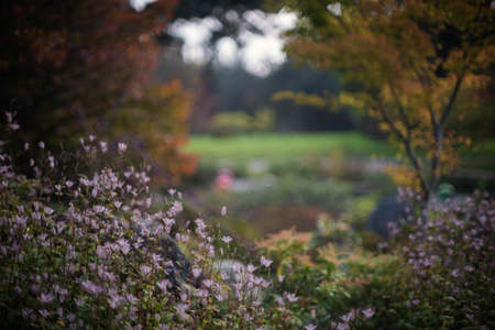 Kew Gardensの写真素材