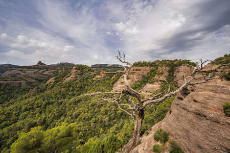 Sant Llorenc del Munt, Catalonia, Spainの写真素材