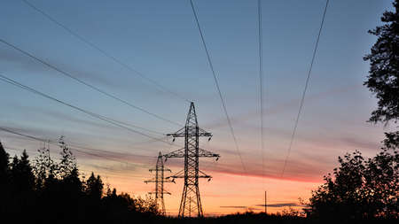 Power line. Dawn.