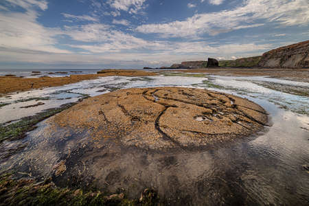 Saltwick Bay