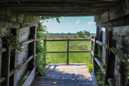 Camargue Regional Nature Parkの写真素材