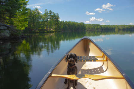 Big Salmon Lake