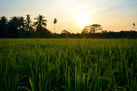 Mekong Delta, Vietnam