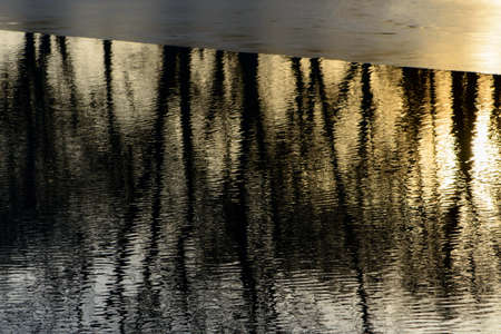 Long Light and Ice