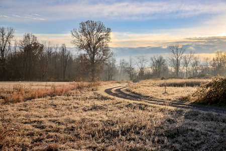 Morning at Long Branch Farmの写真素材