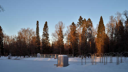 Oranienbaum. A park. Frosty dawn.