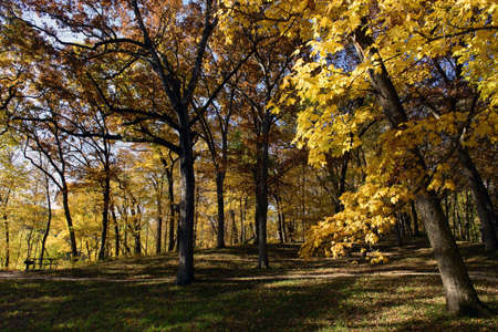 Palisades Autumn Afternoon