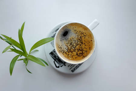 Americano coffee with froth, sprinkle with poppy seeds on top. Chlorophytum plant.の写真素材