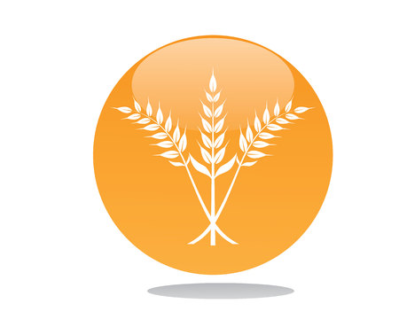 Oat or rice logoのイラスト素材