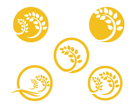 Rice food meal symbols template iconsのイラスト素材