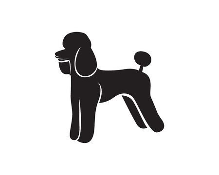 Dog  animal symbol pets shop template icons.のイラスト素材