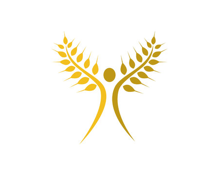 Agriculture wheat Logo Template vector icon designのイラスト素材