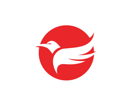 Wings bird sign abstract template iconsのイラスト素材