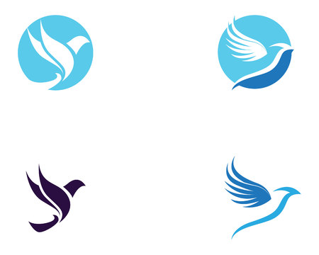 Wings bird sign abstract template iconsのイラスト素材