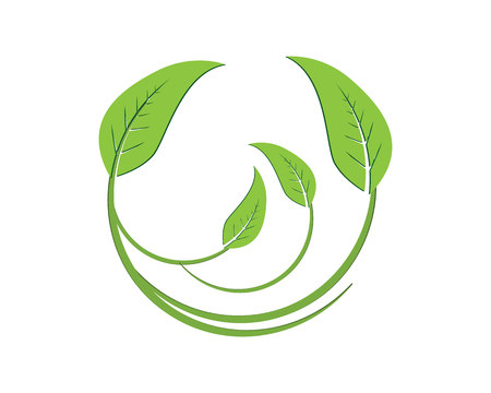 leaf green nature logo and symbol template Vector 
のイラスト素材
