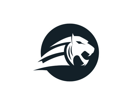 Tiger head logo mascot white backgroundのイラスト素材