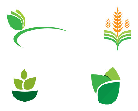 Agriculture business logo unique green vector imageのイラスト素材