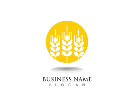 wheat Logo Template vector icon designのイラスト素材