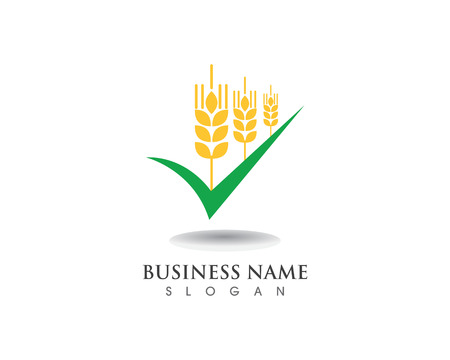wheat Logo Template vector icon designのイラスト素材
