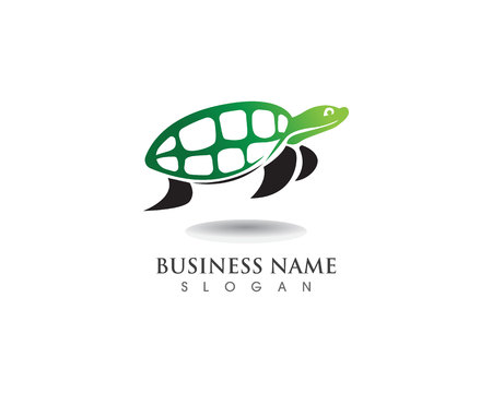 turtle animal cartoon icon image vector illustration designのイラスト素材