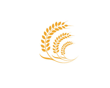Agriculture wheat Template vector icon designのイラスト素材