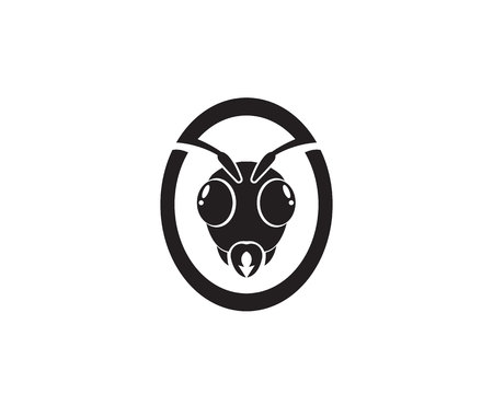 Ant template vector illustration designのイラスト素材