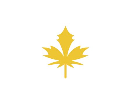 Maple leaf vector illustration design templateのイラスト素材