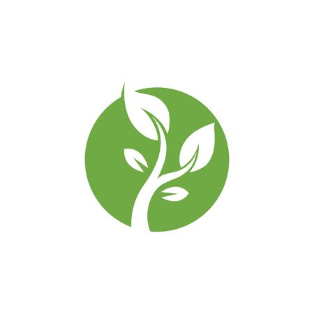 Leaf Logo vector Templateのイラスト素材