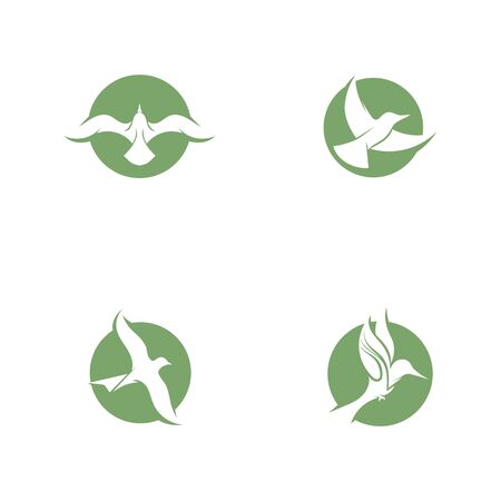 Bird fly  Logo Template vector illustration designのイラスト素材