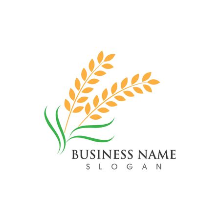 Agriculture wheat  and symbol vectorのイラスト素材