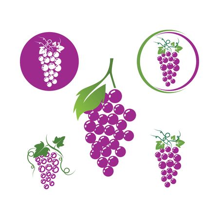 Grapes logo template vector icon illustration designのイラスト素材