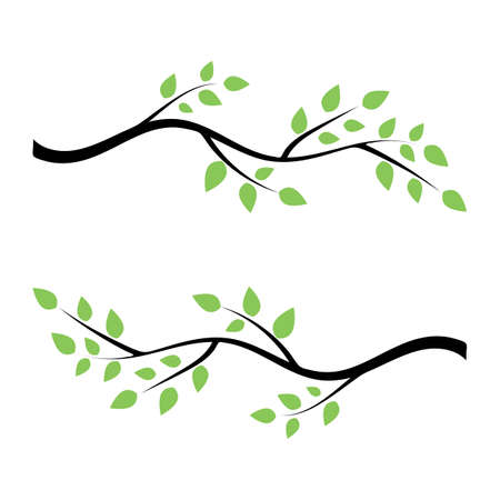 tree branch vector ilustration design templateのイラスト素材